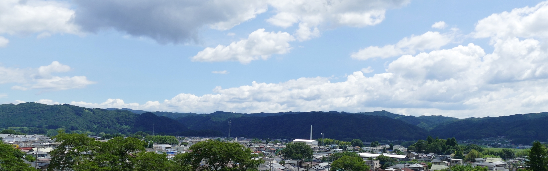 天性寺　寺院情報　寺院概要